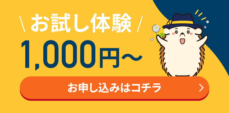 お試し体験1,000円～お申込みはコチラ